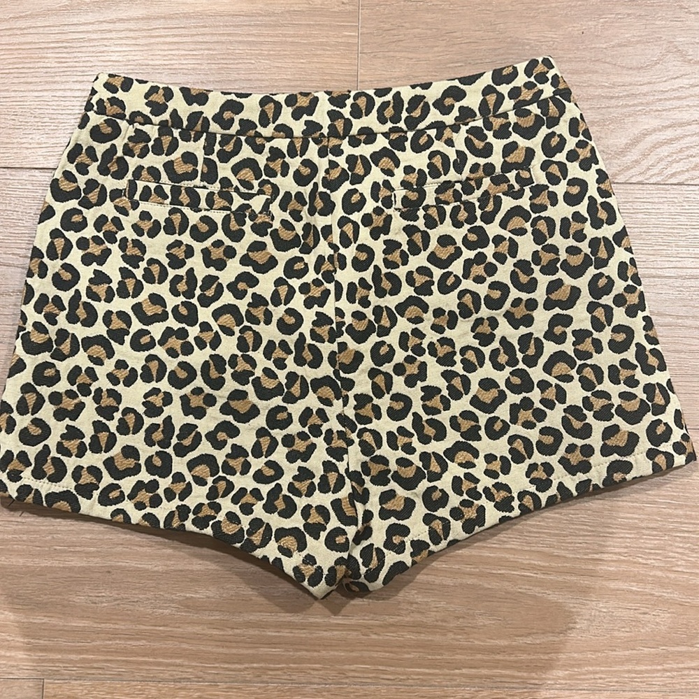 Leopard - Picture 3 of 4